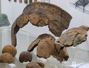 Фоторепортаж: уникальные археологические находки в Нижегородской области