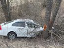 Два человека пострадали в улетевшей в кювет иномарке под Балахной