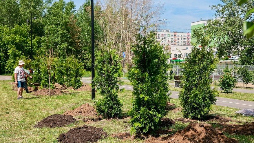 Главная картинка новости: 6 000 деревьев и кустарников высадят в Нижнем Новгороде