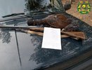 Браконьера будут судить в Нижегородской области за убийство глухаря