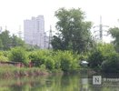 Парк может появиться на берегах Левинки в Нижнем Новгороде
