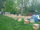 Партия зараженных пчел задержана в Нижегородской области