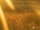 Стало известно, когда в Нижний Новгород вернется жара