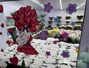 Придется разориться: изучаем цены на цветы к 8 марта в Нижнем Новгороде
