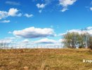 Потепление до +19°С придет в Нижний Новгород на этой неделе