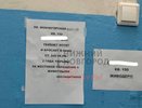 Нижегородцы обвинили соседа по дому в издевательствах над животными