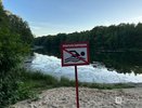 О вирусах, смертях и прогнозах: интервью с замглавы нижегородского Роспотребнадзора