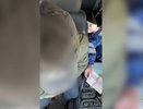 Давший взятку нижегородскому полицейскому иностранец будет выдворен из России