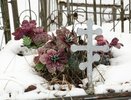 Могилы знаменитостей и еврейский квартал: что посмотреть на кладбищах в Нижнем Новгороде — репортаж «В городе N»
