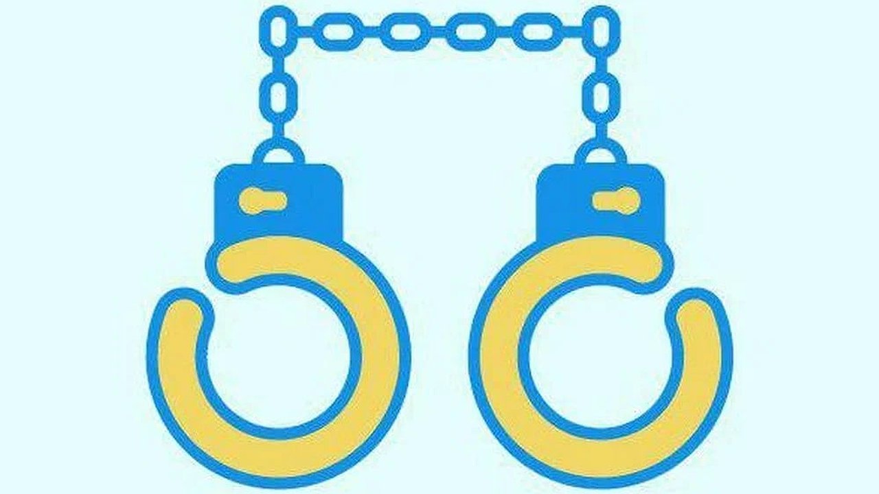 Главная картинка новости: Мигранты совершили 1,5% преступлений в Нижегородской области за год