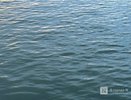 Тело погибшего мужчины нашли в пруду в Нижегородской области