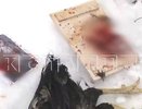 Стало известно, кто совершает кровавые жертвоприношения в парке Кулибина