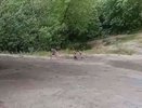 Детей забрали у нижегородки после видео с издевательствами под мостом
