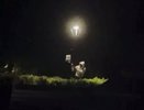 Нижегородец сломал уличный фонарь ради секса в парке