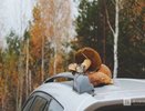 Названы три самых полезных вида грибов в Нижегородской области