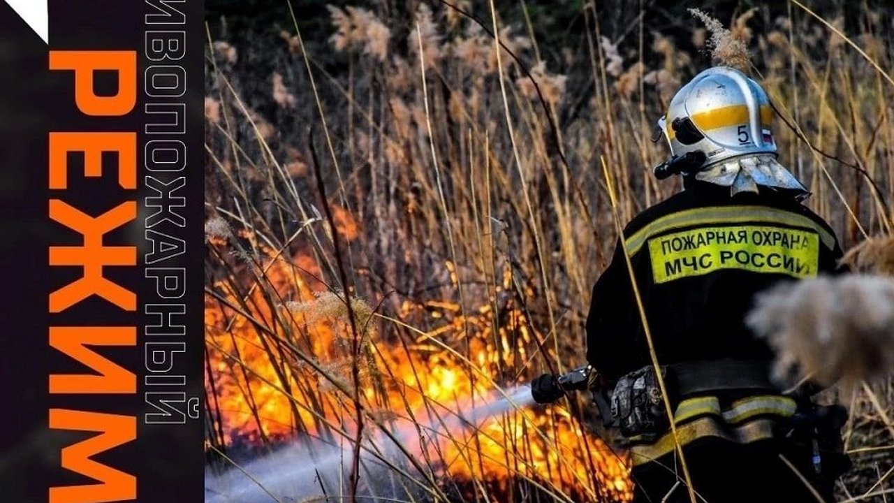 Главная картинка новости: Особый противопожарный режим установлен в Нижегородской области