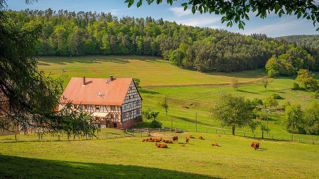 Главная картинка новости: В Нижегородской области стартуют "Болдинские чтения"