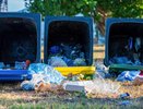 Нижегородское Минэкологии активизирует борьбу с нелегальными свалками