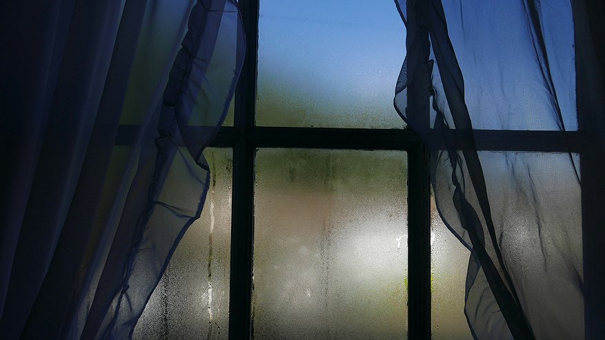 Главная картинка новости: Cтавлю на подоконник в сентябре и конденсата на окнах нет даже в дождь - сухо до зимы