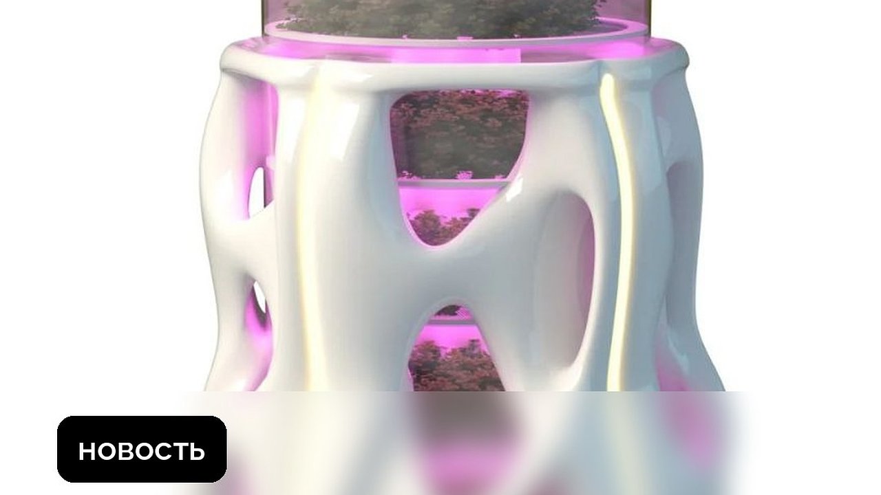 Главная картинка новости: Студенты Нижегородской области получают гранты на реализацию стартапов