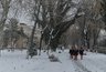 Миниатюра новости: «Зимой начнется нечто особенное, чего не было с 1772 года». Синоптики сказали, к чему готовиться