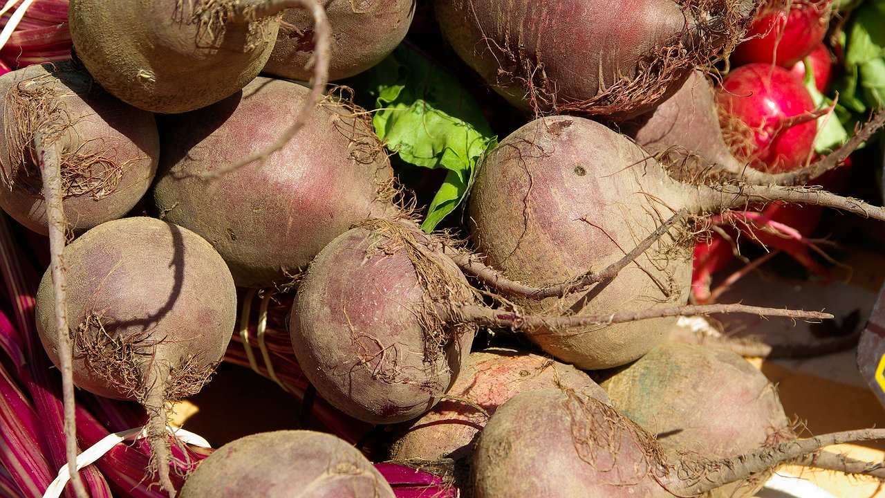 Главная картинка новости: Посейте свеклу осенью - получите урожай на 3 недели раньше соседей - советы опытных огородников