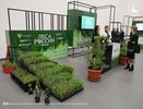 Нижний Новгород стал центром лесной индустрии: в городе проходит форум "Леса России"