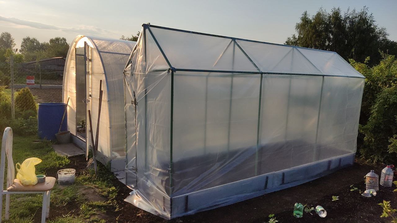 Главная картинка новости: 50 гр. в 10 л. воды — и в теплицу: лучшая защита от вредителей и болезней — подготавливаемся к зиме правильно