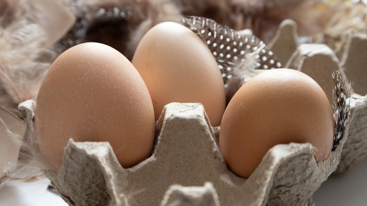 Главная картинка новости: Почему яйца после варки нельзя класть в холодную воду: секреты правильного приготовления