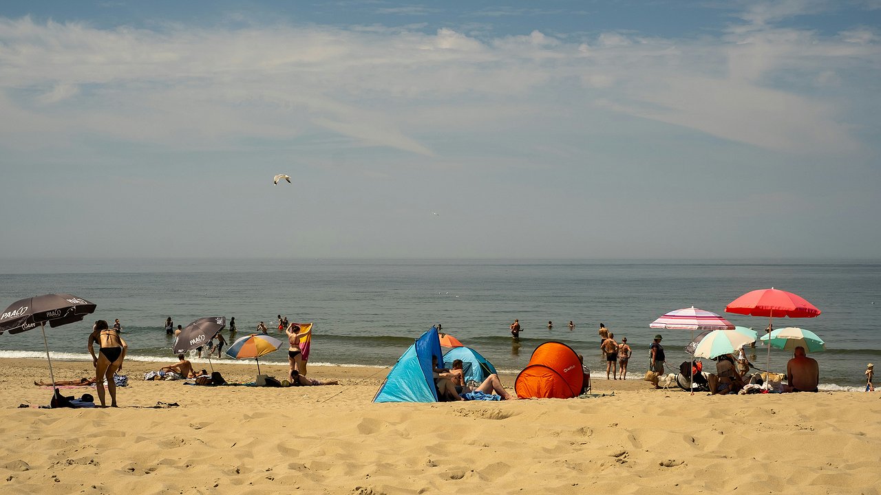 Главная картинка новости: Курорт, где царит обман: море чистое, горы высокие, а вот с людьми всё сложно – 5 ложек дёгтя в бочке мёда Абхазии