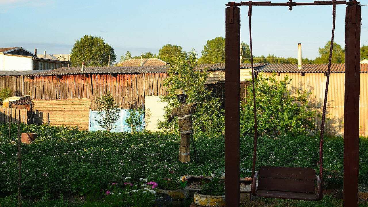 Главная картинка новости: Что нужно добавлять в дачный туалет, чтобы отходы растворялись и запаха не было: проверенные средства