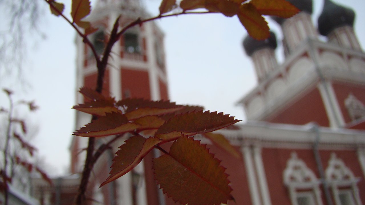 Главная картинка новости: В октябре наступит то, чего не было с 1887 года: к чему готовиться, сказали синоптики