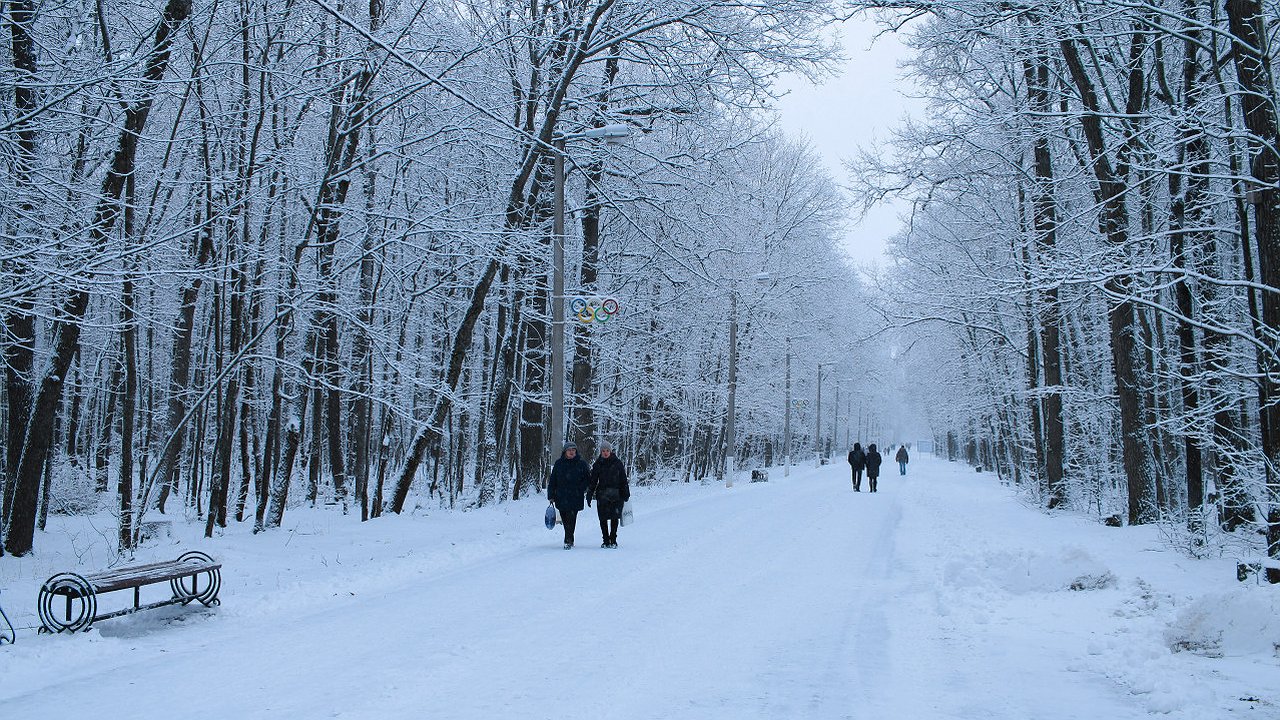 Главная картинка новости: Такого не случалось с 1775 года: синоптики сказали, к чему готовиться зимой