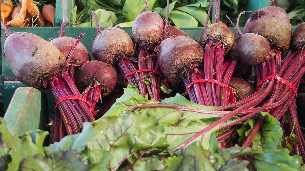 Главная картинка новости: Посейте свеклу осенью - соберете урожай на 3 недели раньше соседей - рекомендации опытных огородников