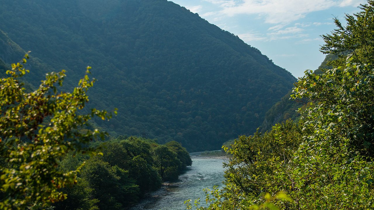 Главная картинка новости: Как наш отдых в Абхазии стал настоящим испытанием на прочность - больше туда ни ногой