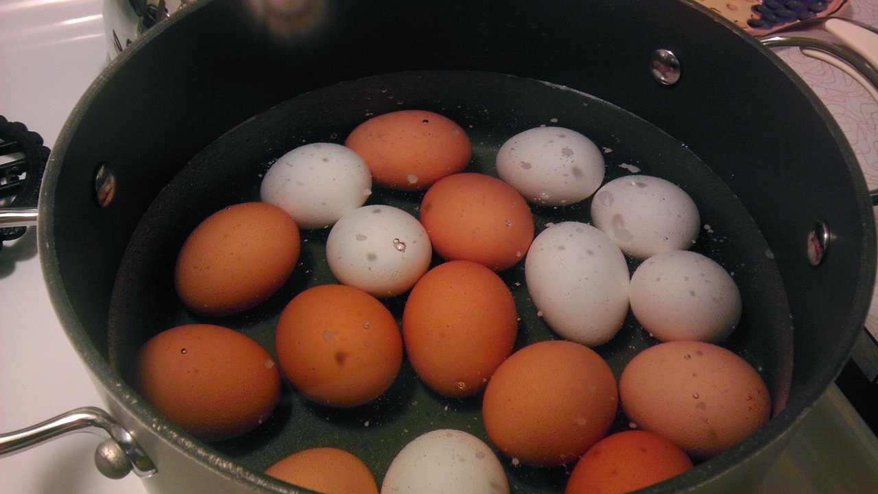 Главная картинка новости: В какую воду на самом деле класть яйца для варки — в холодную или горячую: повар ответил на вопрос