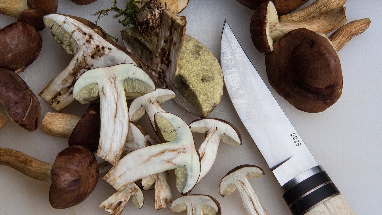 Главная картинка новости: Раньше до ночи мучились всей семьей, снимая пленку с маслят: теперь без проблем чищу сама ведро грибов за полчаса