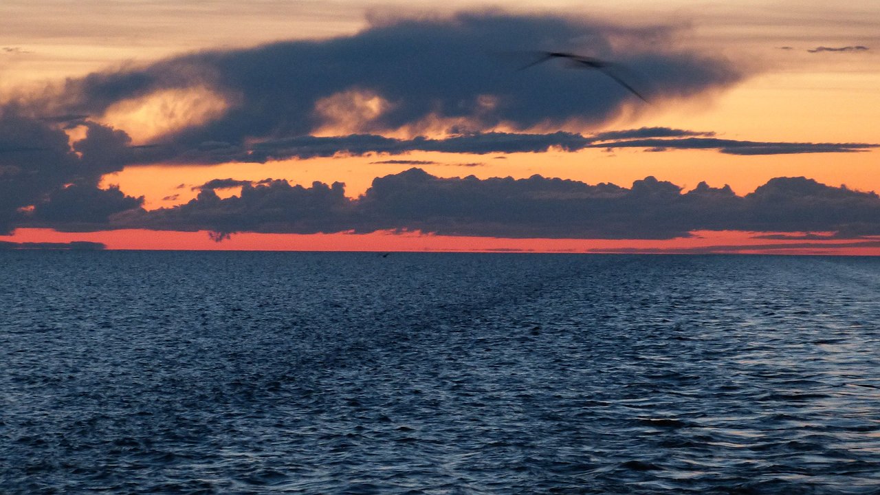 Главная картинка новости: Температура воды в Черном море снизилась до 18 градусов. На каких курортах Краснодарского края вода все еще комфортная для купания