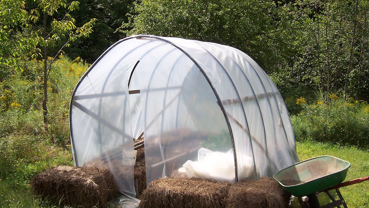 Главная картинка новости: Добавьте 50 гр. средства в 10 л. воды — и в теплицу: ни вредителей, ни болезней — подготавливаемся к зиме правильно