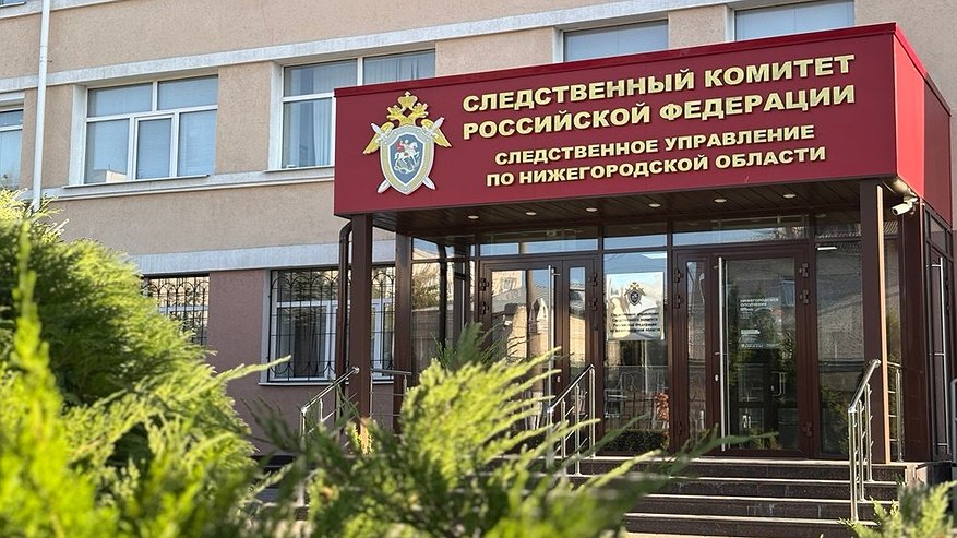 Главная картинка новости: В Нижегородской области расследуется случай издевательств школьников над сверстницей