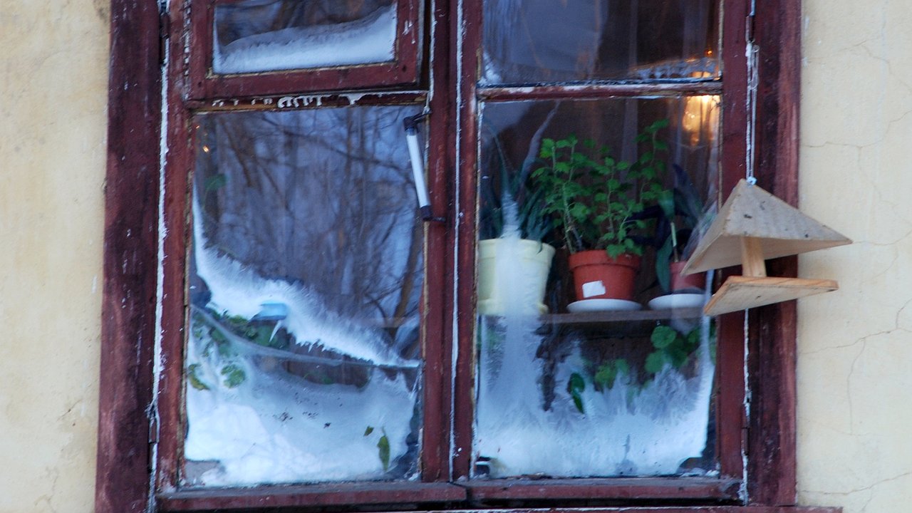 Главная картинка новости: Холод не пройдёт: как утеплить дом изнутри раз и навсегда — без минваты, грызунов и лишних затрат