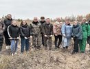 Более четырёх тысяч сеянцев сосны высадили в Кулебакском округе на площади 1,1 гектара