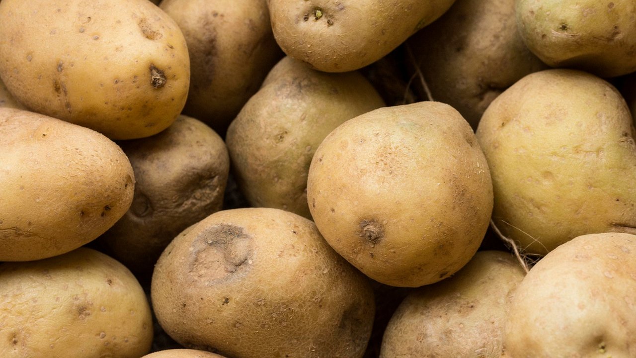 Главная картинка новости: Картошка лежит до мая — не гниет, не портится: один старый способ от бабушки
