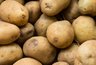 Миниатюра новости: Картошка лежит до мая — не гниет, не портится: один старый способ от бабушки