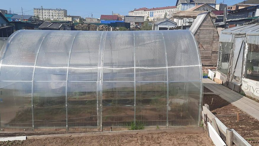 Главная картинка новости: Как правильно обработать теплицу после дачного сезона от фитофтороза и кладоспориоза