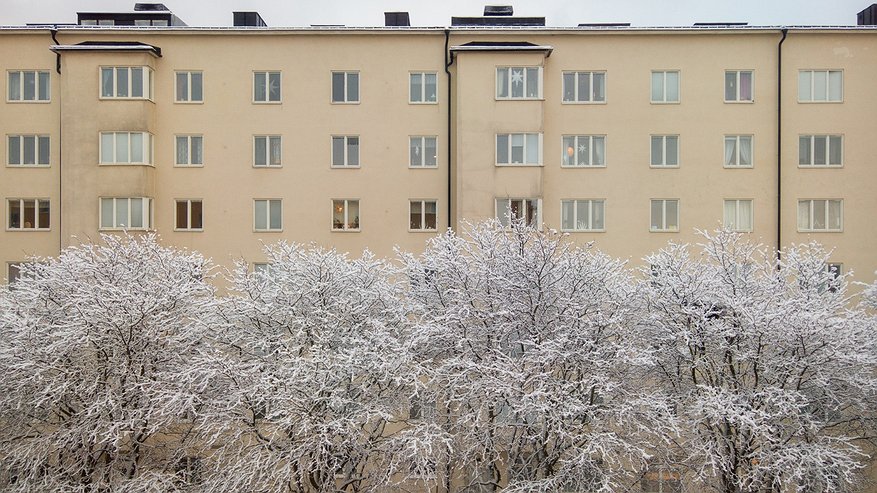 Главная картинка новости: «Декабрь принесет климатические испытания». Синоптики рассказали, как начнется зима