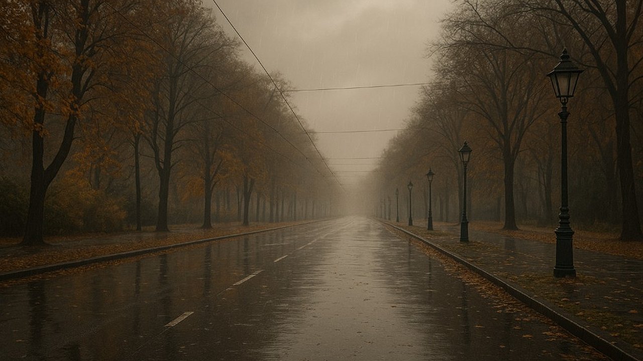 Главная картинка новости: В Нижнем Новгороде 8 ноября ожидается пасмурная и дождливая погода