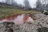 Миниатюра новости: В Кстовском районе выявили загрязнение реки Чёрная нефтепродуктами