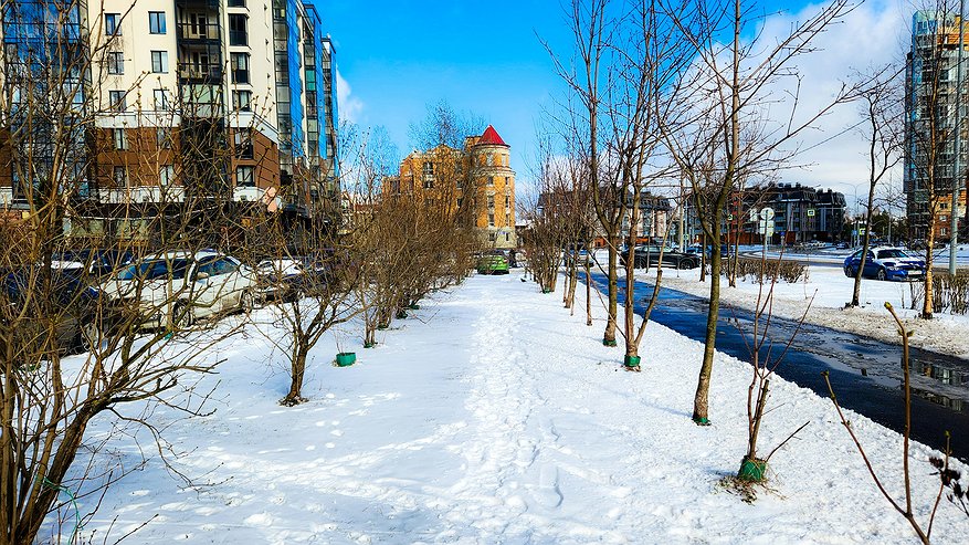Главная картинка новости: Климатическое безумие: чего ожидать от погоды в России в ноябре