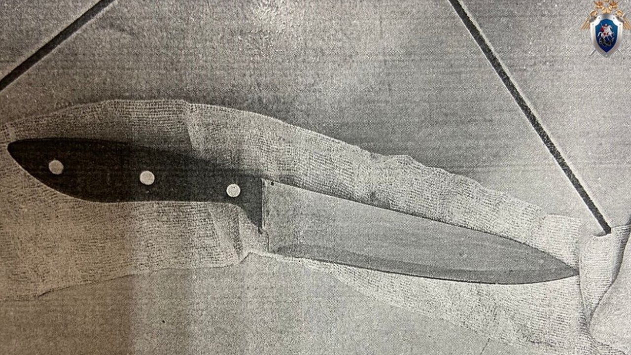 Главная картинка новости: Жительница города Бор получила восемь лет колонии за попытку зарезать свою мать